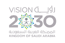 Vision 2030